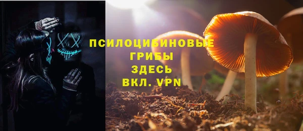 mdma Няндома