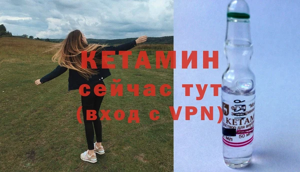 сатива Новокубанск
