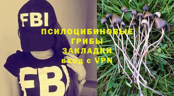 mdma Няндома