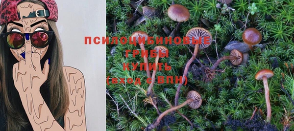 PSILOCYBIN Нягань